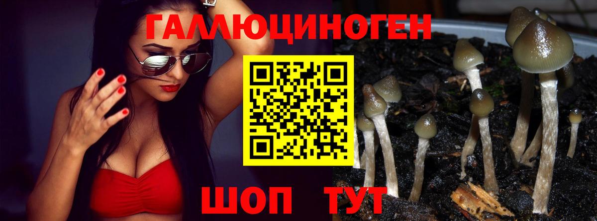 Псилоцибиновые грибы MAGIC MUSHROOMS Шали